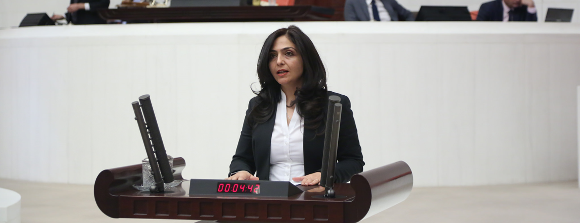 Bedia Özgökçe: Tarafsız habercilik yapmanın bedeli tutuklu yargılanmak, terörist damgası yemek