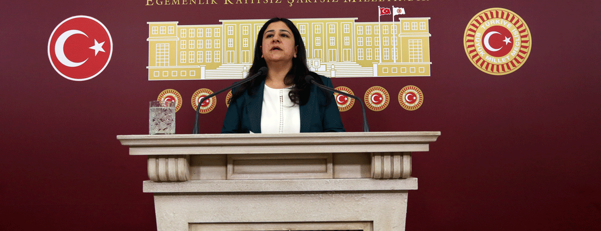 Demirel: AKP-Saray iktidarı halkın canına kast ediyor