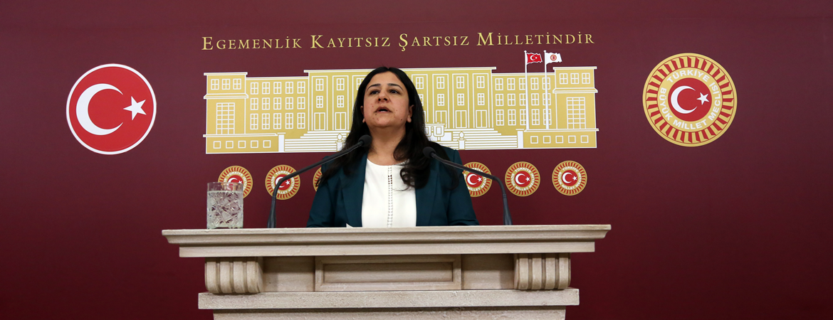Çağlar Demirel: HDP'li danışmanların gözaltına alınması post modern parti kapatmanın son halkasıdır