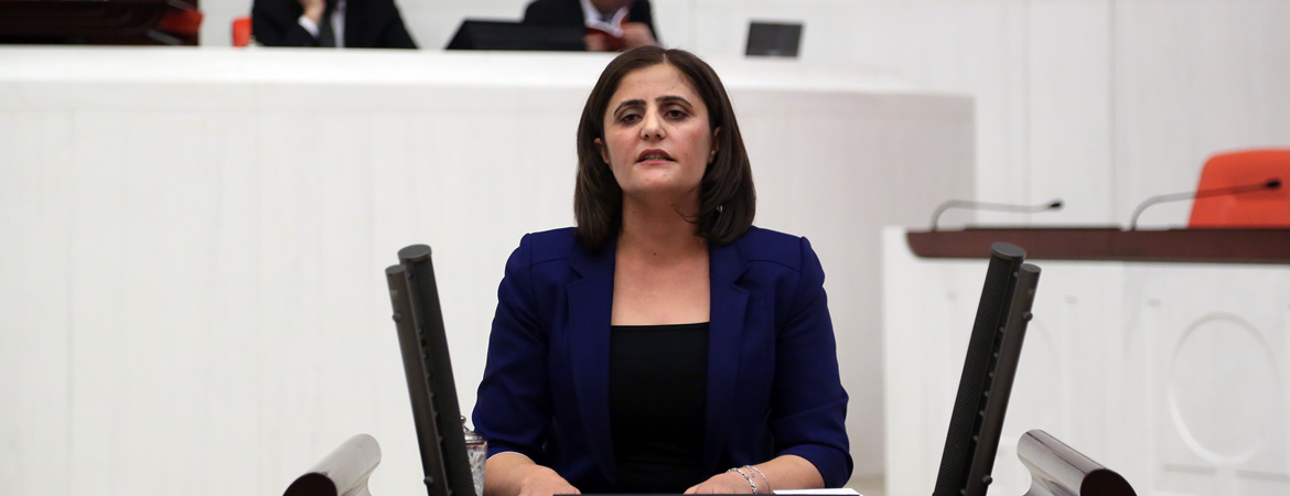 Dilan Dirayet Taşdemir: Türkiye’yi troller yönetiyor