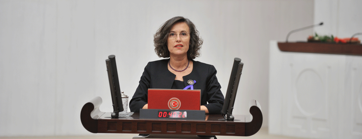 Kerestecioğlu: TÜBİTAK'ı TÜBİT-AK yapmaya çalışıyorsunuz