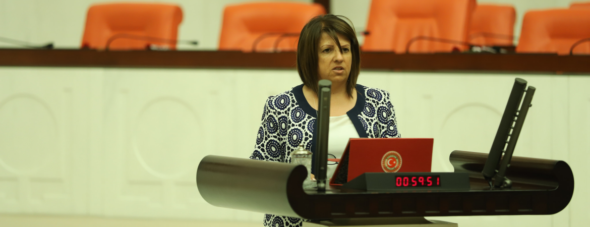 Hayvancılık yapan yurttaşların desteklenmesi ve besiciliğin arttırılması yerine yurtdışından, güvensiz canlı hayvan ve et ithal edilmesi başlı başına bir utanç kaynağıdır.