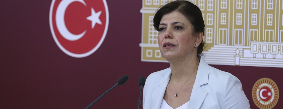 Meral Danış Beştaş: "Milli mutabakat" 15 Temmuz'dan önce de vardı