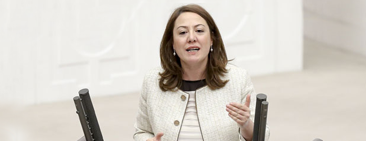 Mizgin Irgat: Korku cumhuriyetinin devam garantisi OHAL'dir