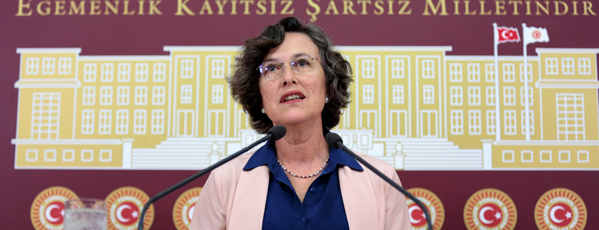 Kerestecioğlu: Şırnak’ı, Van’ı kayyumlar olmadan yönetemeyenler Afrin halkına ne söyleyebilir?