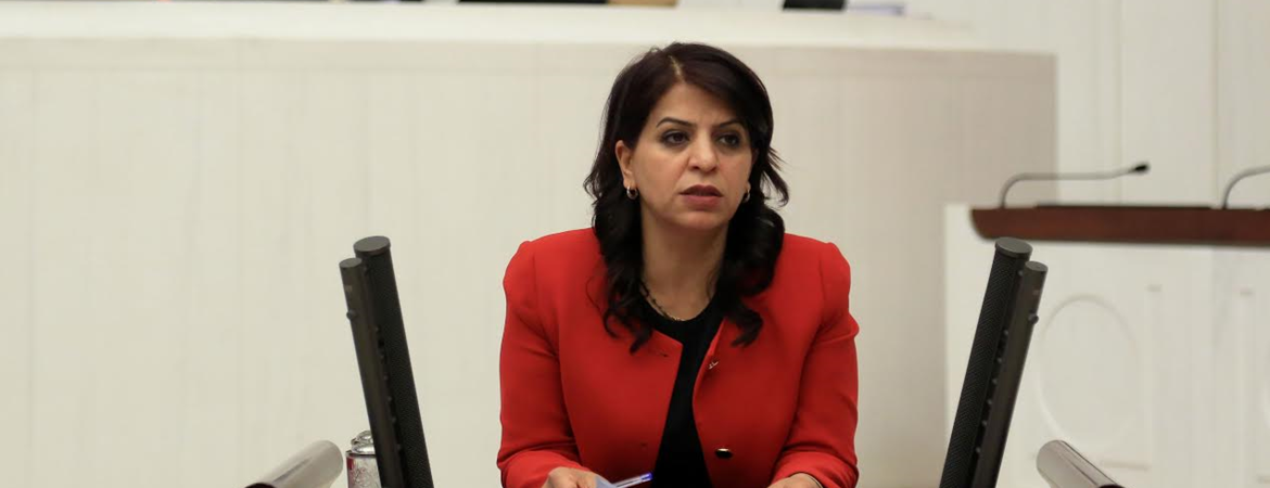Sibel Yiğitalp: Muhtarlara uzun namlulu silahlarla eğitim vermek iç savaş hazırlığıdır