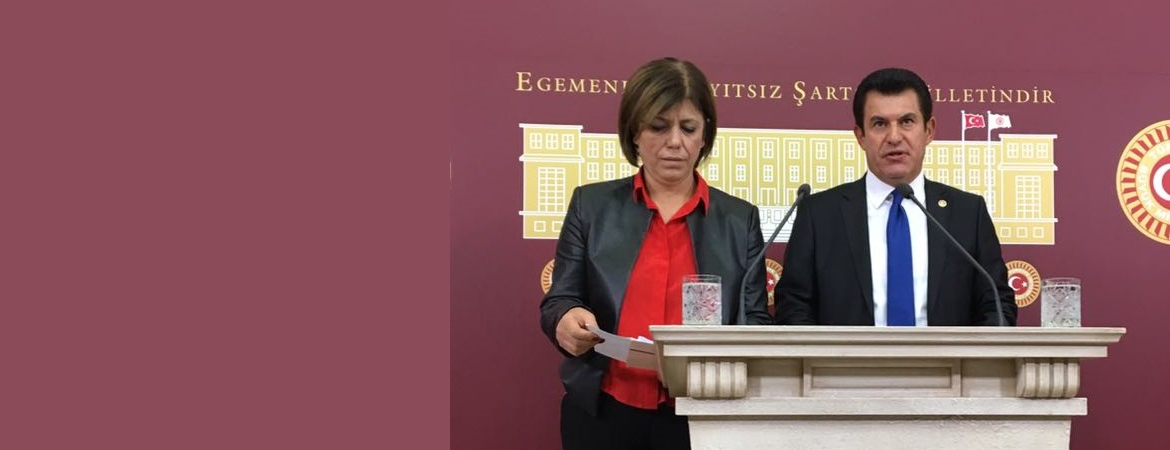 Muğla'ya giden heyetimiz: Köyceğiz'de yargısız infaz ve işkence iddialarına ilişkin resmi açıklama yapılmak zorunda  