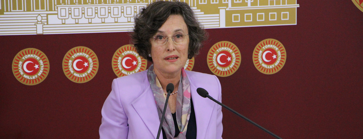 Kerestecioğlu: Mesele milli değil şahsi