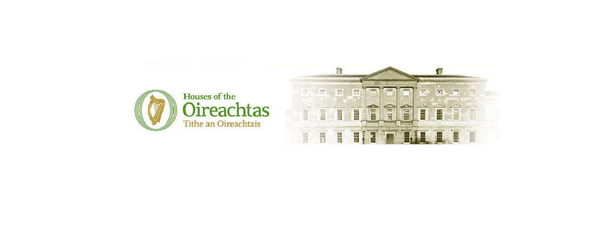 Sinn Féin's Seán Crowe to the deputy head of government of Ireland: How do you view the imprisonment of Demirtaş and the other HDP members?