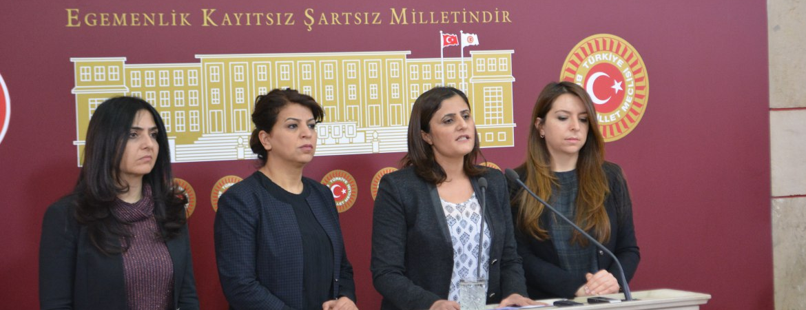 HDP Kadın Meclisi: Saraylar yıkılır, geriye kadınların dayanışması ve direnci kalır
