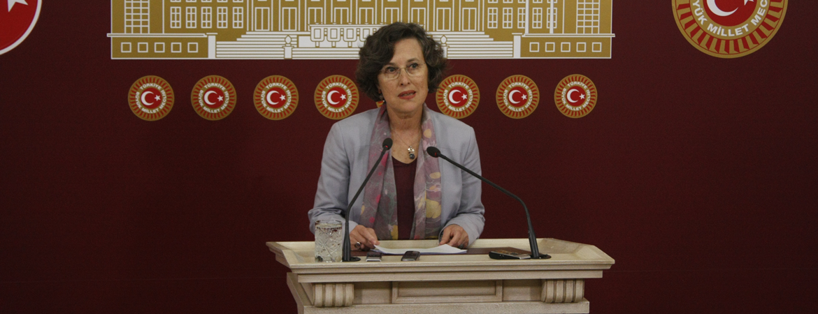 Filiz Kerestecioğlu: Yalanlarla savaşa sürüklemek kimyasal silahlar kadar korkunç