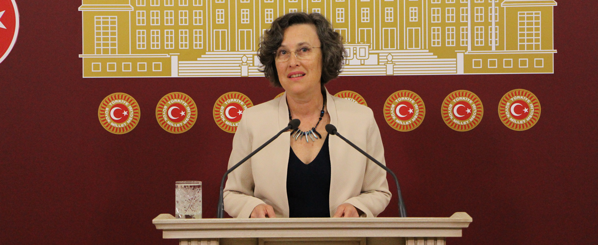 Filiz Kerestecioğlu: İki sağ ittifak ve HDP yarışacak