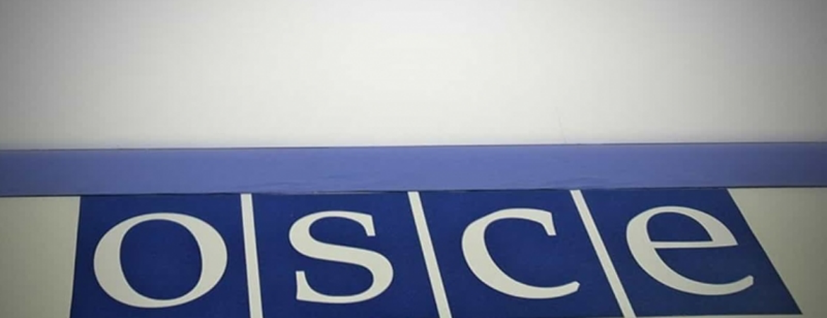 OSCE PA human rights leaders: The widespread detentions and harassment of political opponents in Turkey must stop