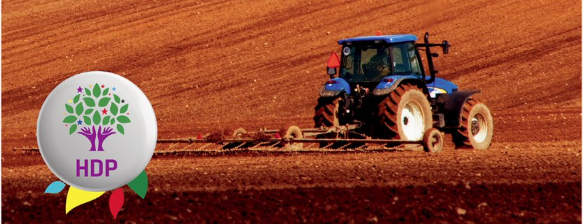 Tarladan tabağa, üretimden yönetime alternatif bir tarım mümkün mü?
