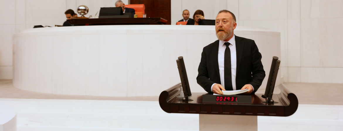 Temelli'nin 2019 bütçe kanun teklifi üzerine yaptığı konuşma