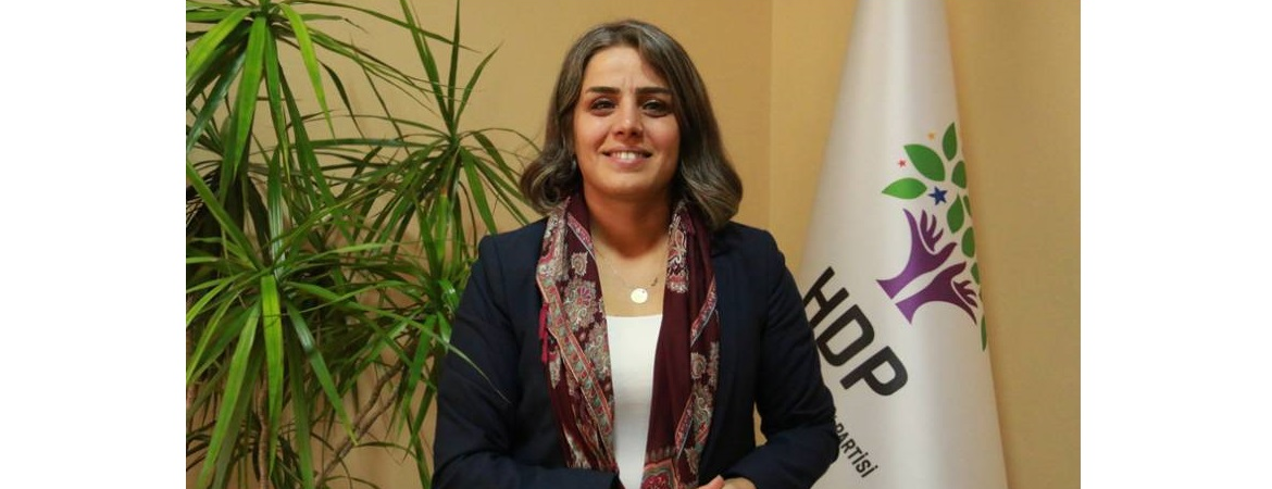 Başaran: Newroz alanlarında Çöktürme Planının kendisinin çöktüğü ortaya çıktı