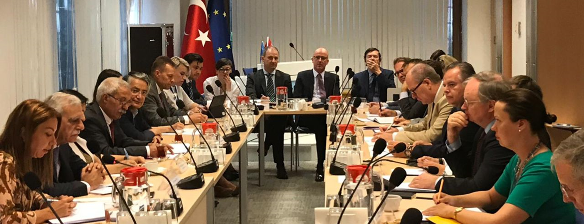 AB Türkiye Delegasyonu ile Kayyım Darbesi'ne ilişkin görüşme