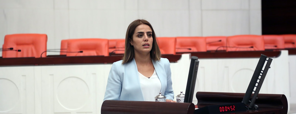 Ayşe Acar Başaran'dan anadilinde eğitimi ayıp gören Batman Belediyesi kayyumu hakkında önerge