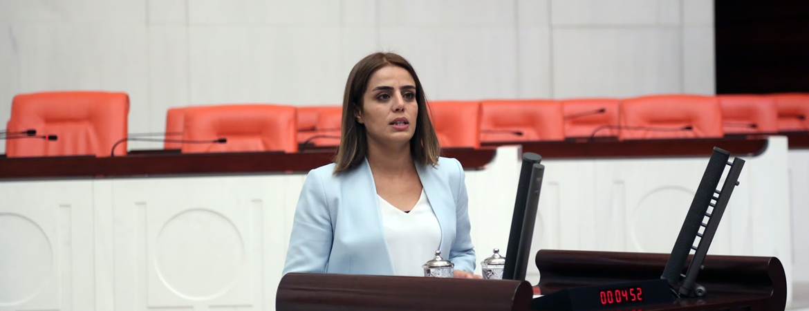 Batman Milletvekilimiz Ayşe Acar Başaran, yeni dönem Kadın Meclisi Sözcüsü seçildi