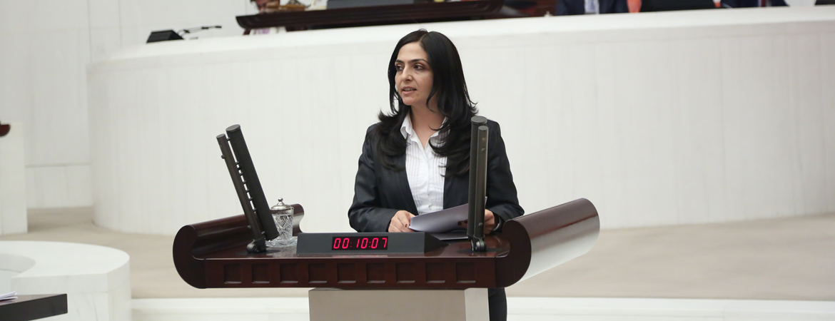 Özgökçe: Cumhurbaşkanı aynı yeri 10 kere açıyor, eş genel başkanımızın açılışa katılması suç