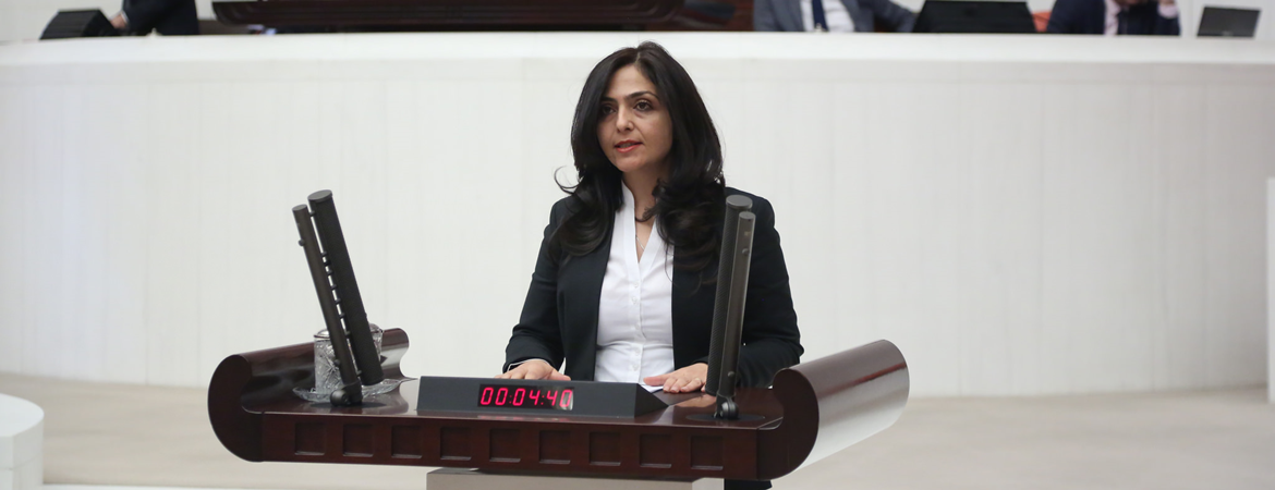  Daxwaza Xweseriyê ne sûc e; ev pêşniyara modelekê ye