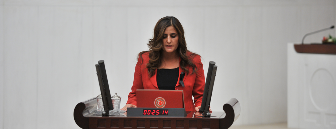 Taşdemir: Emekçiler sermayeye, kadınlar egemen zihniyetin insafına bırakılıyor