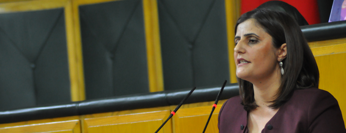 Taşdemir: Kadınlardan kadınlara yayılan cesaret, HAYIR'larımızda birleşecek