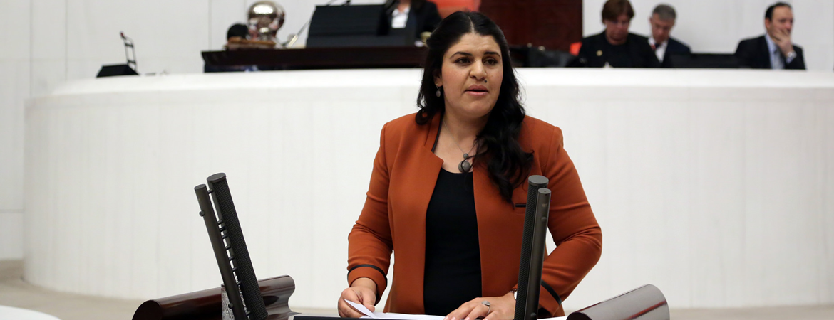 Sayın Öcalan'a uygulanan mutlak tecrit ile sağlık ve güvenlik koşullarına ilişkin önergemiz