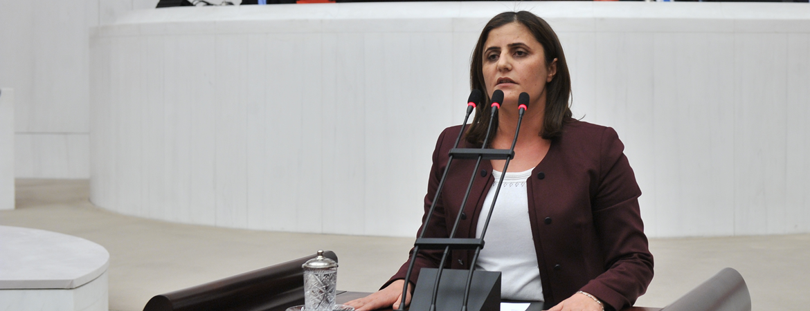 Taşdemir: Yıllarca vaatlerini cebine koyan AKP, Ağrı Belediyesi'ni kaybettiği için kayyum atadı