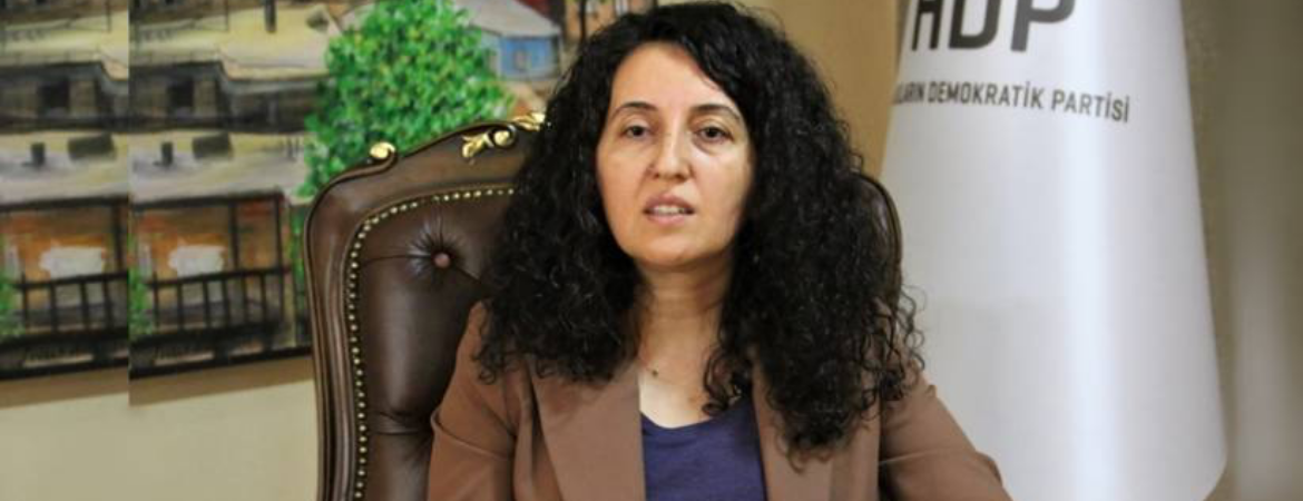 Günay: HDP’ye uygulanan baskılar başka partiye uygulansaydı tasfiye olurdu