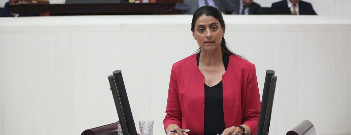 Feleknas Uca'dan Sur önergesi