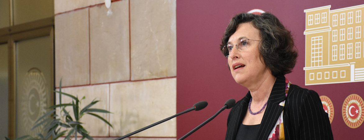 Kadınların yaşadığı ayrımcılık ve cinsiyete dayalı eşitsizliklerin araştırılmasına ilişkin önergemiz