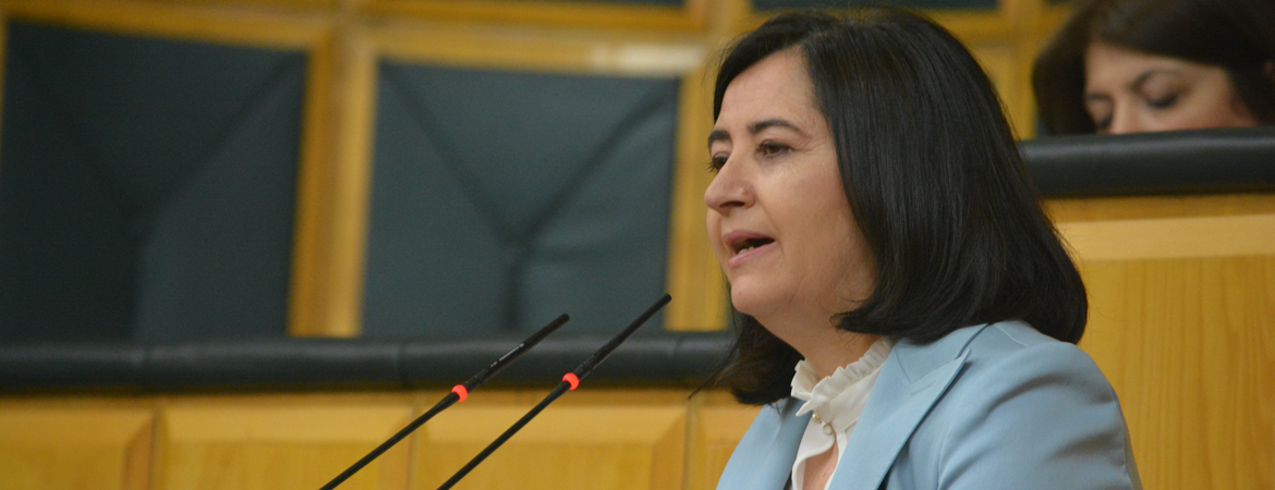 Kemalbay: Onların vatan sevgisi Malta sevgisi