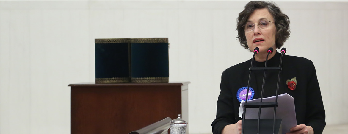 Kerestecioğlu: Parlamento’nun görevi yeni güvercin tedirginlikleri yaşatmamaktır