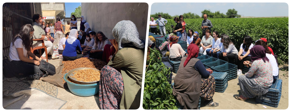 Kadın Meclisimiz Adana’da: Bir günlük emeğimizle sadece yağ alabiliyoruz