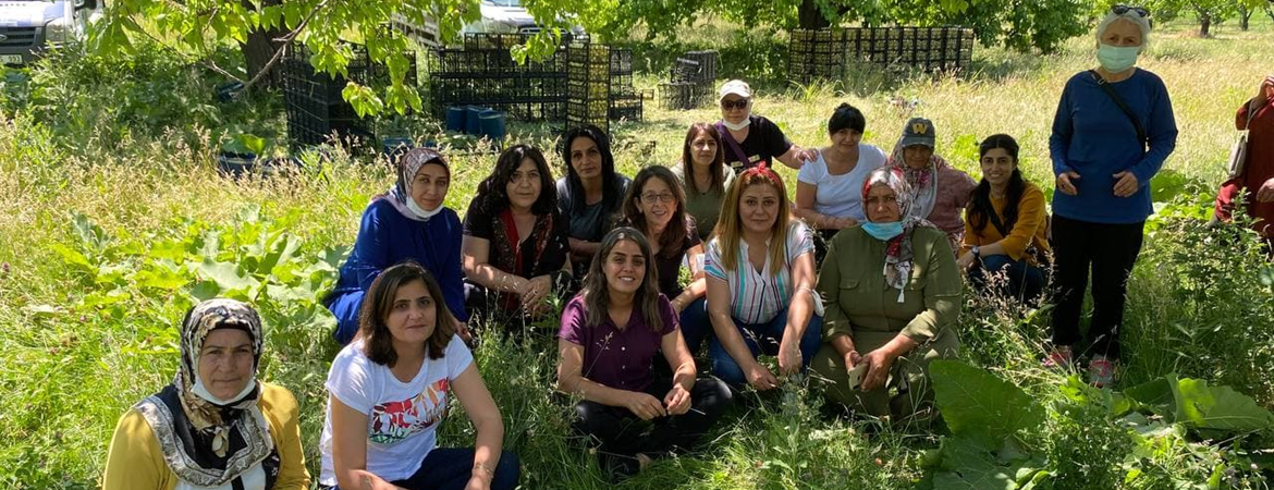 Kadın Meclisimiz Iğdır’da: Kayısı bahçelerinde tüm gün çalışıp kazandığımız para yetmiyor