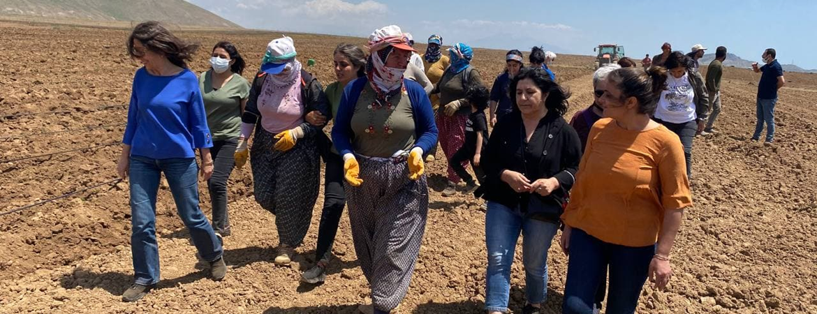 Kadın Meclisimiz Bitlis’te: Günde 80 lira ile geçinemiyoruz