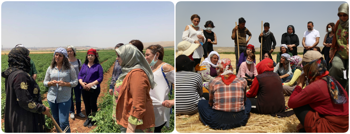 Kadın Meclisimiz Kadın Yoksulluğuna Hayır Buluşmaları kapsamında Urfa’daydı