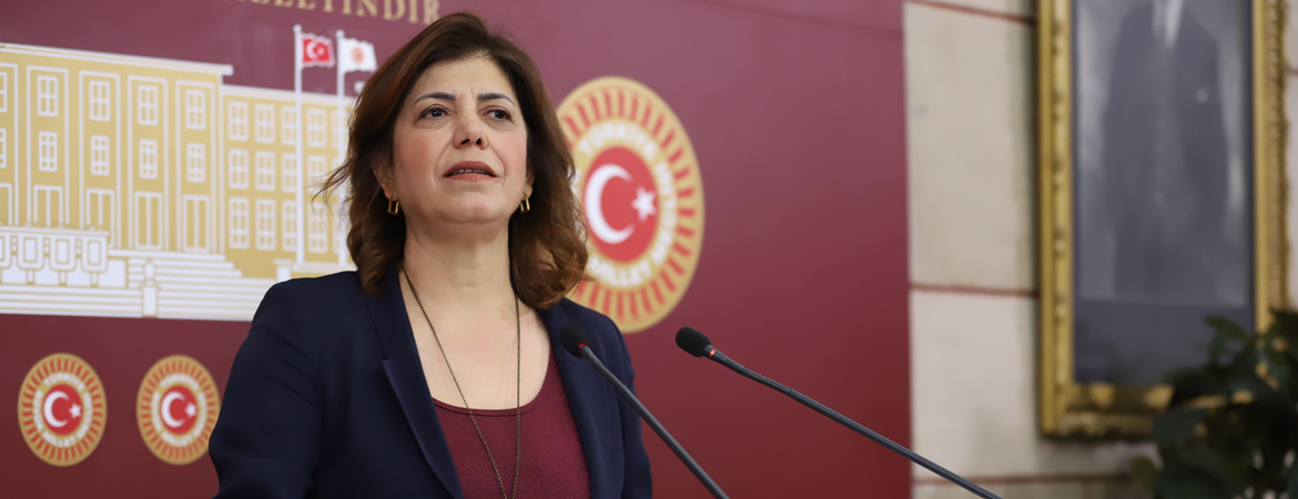 Beştaş: AKP-MHP çevre sorununa rant gözüyle bakıyor, giderayak tarımı da bitirmeye çalışıyor
