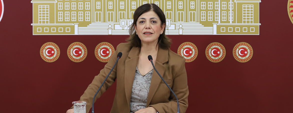 Beştaş: Anayasa'yı her gün çiğneyenlerle anayasa yapılmaz