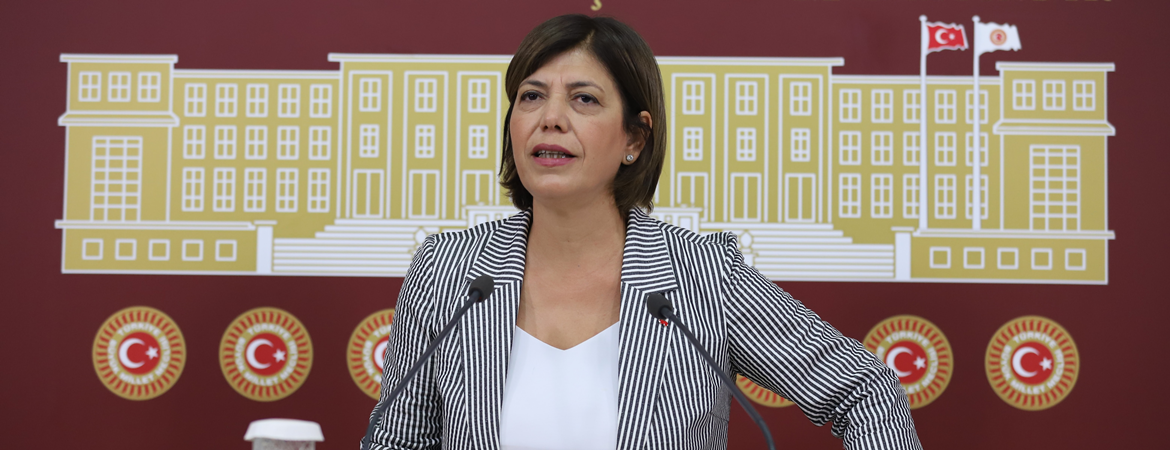 Beştaş: Terörle mücadele adı altında ormanlar yakılıyor