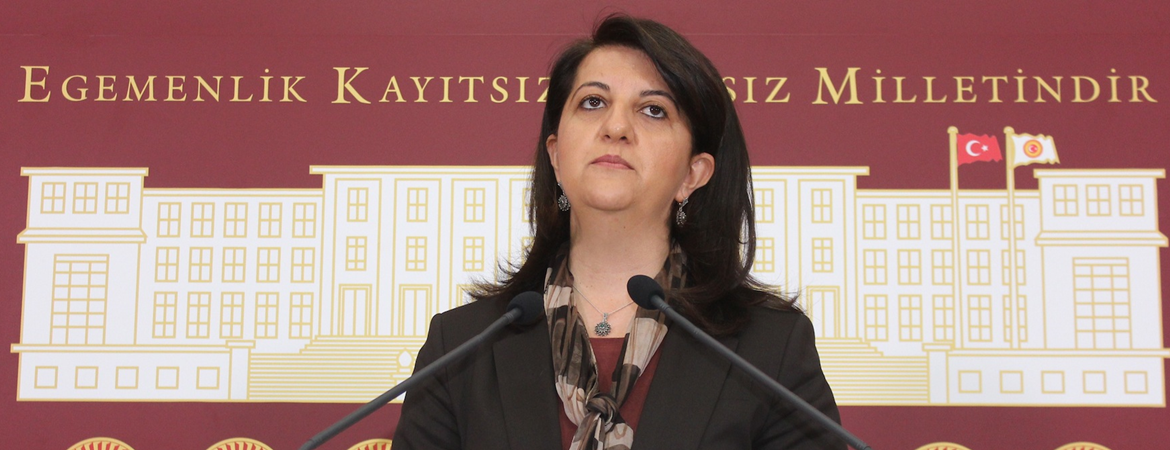 Cihê parlementeran ne girtîgeh e, Parleman e