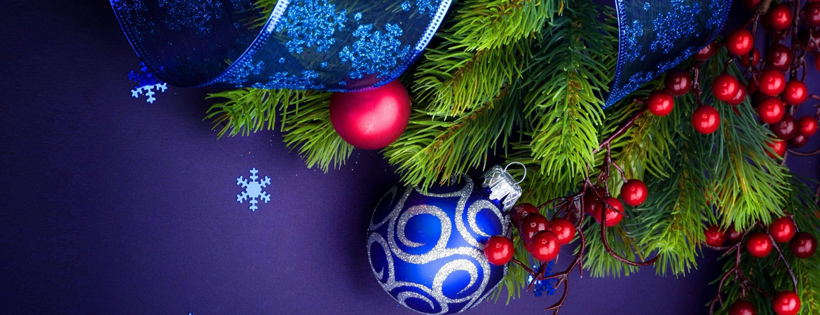 Noel ve Yaldo bayramları kutlu olsun!