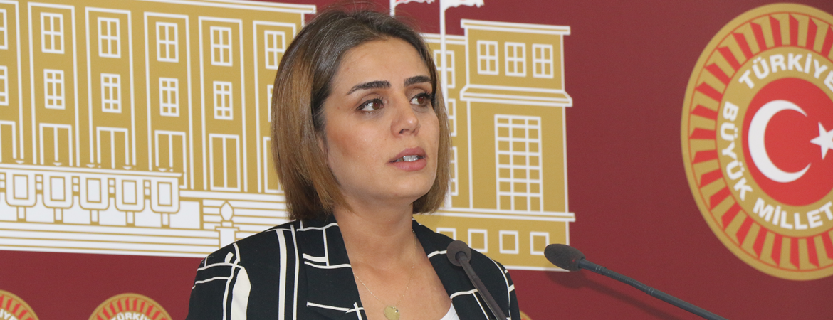 Ayşe Acar Başaran: Seçme hakları ellerinden alındığı için kayyıma karşı herkes dava açabilir