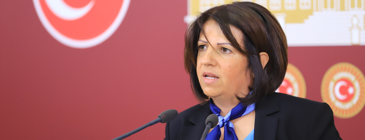 "Toplumsal Cinsiyet Eşitliği" kavramının Kalkınma Planı'ndan çıkarılmasına ilişkin önergemiz