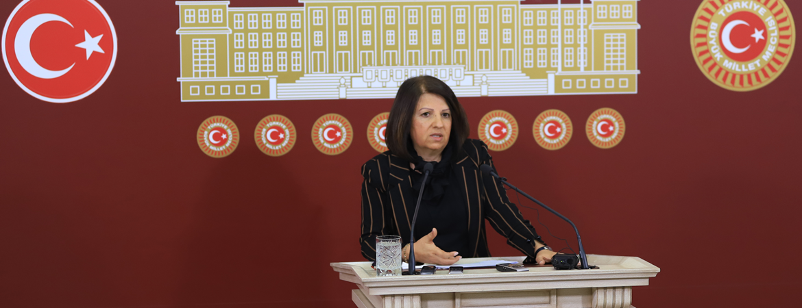 Kurtulan: Meclis Ahlat'ta yapılacak sarayı gündemine alacağına deprem ve çığ konusunda bir komisyon kurmalıdır
