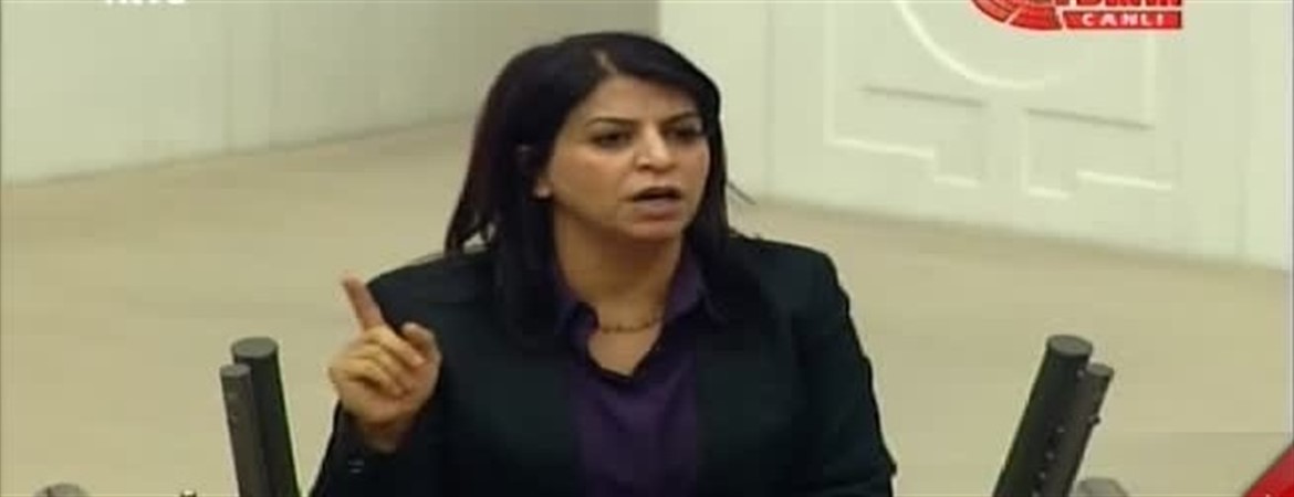  Sibel Yiğitalp: Meclisin bombalanması Sur'un bombalanmasının tezahürü