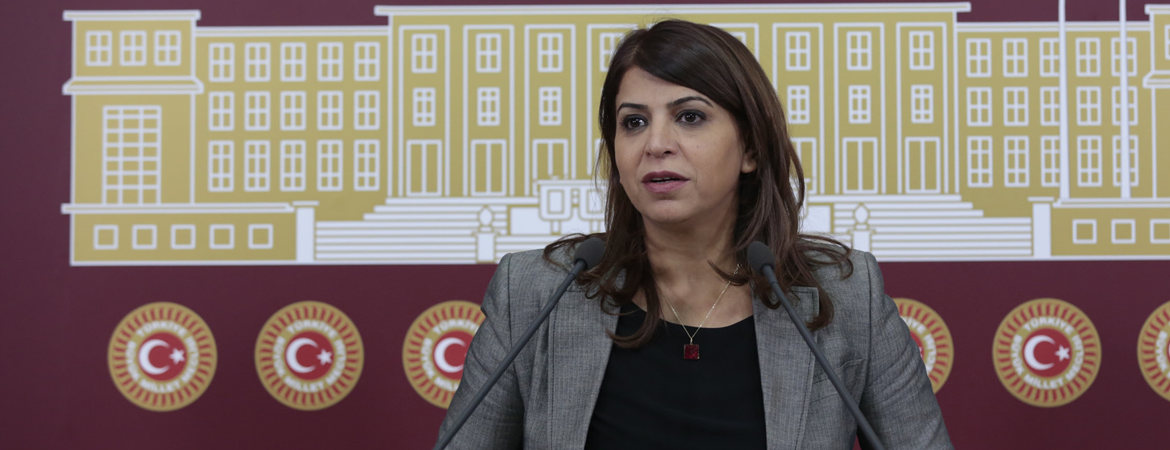 Hekimlerin yaşadığı sorunların araştırılmasına ilişkin önergemiz