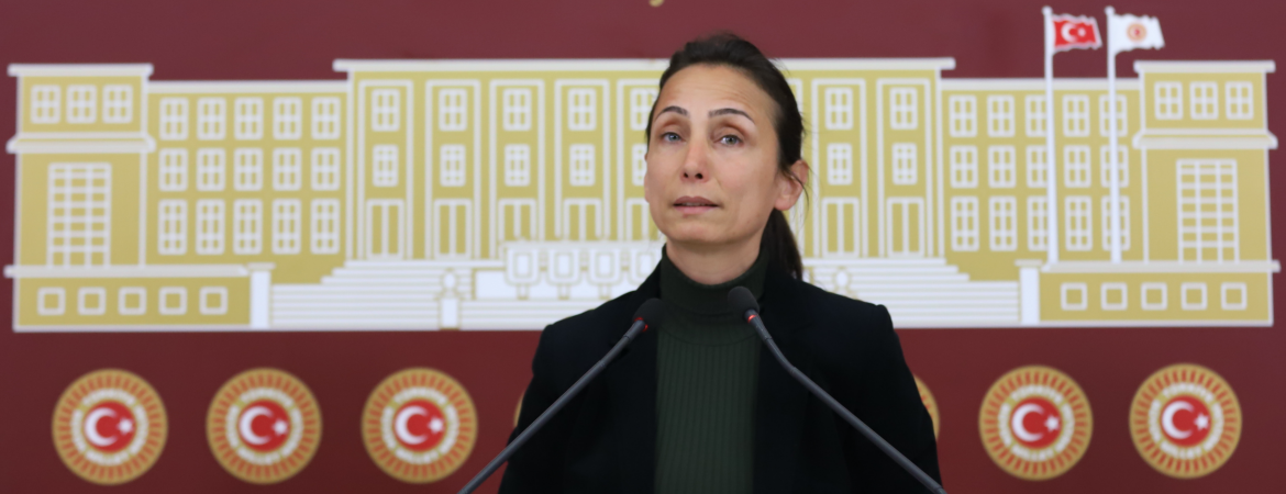 Hatimoğulları: Hatay'ımızı asla terk etmeyeceğiz, Asi Nehri asi asi ters akmaya devam edecek