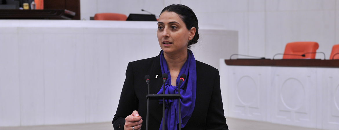 Uca, Dicle Vadisi’nde ve Hevsel Bahçeleri’nde yaşanan tahribatı meclis gündemine taşıdı
